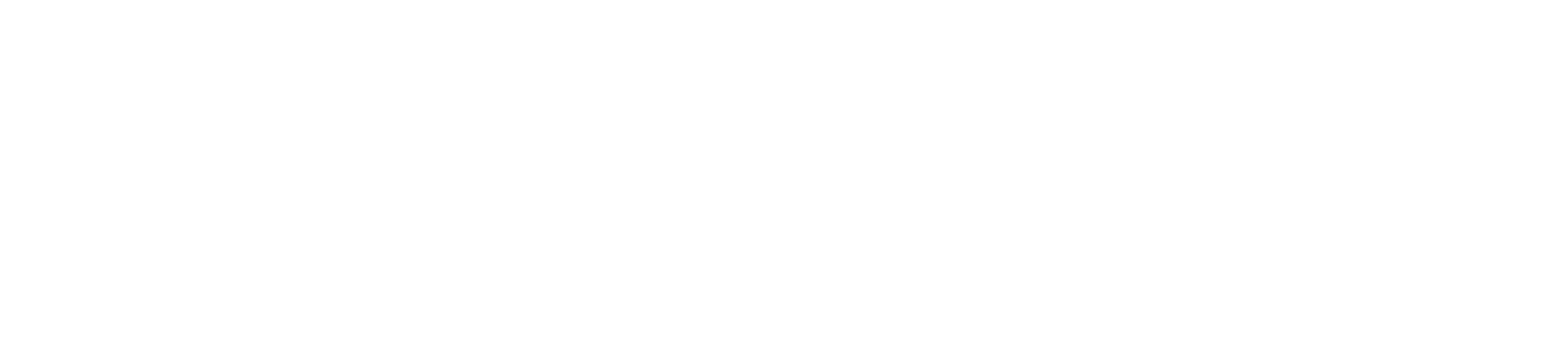 The Financial Architects